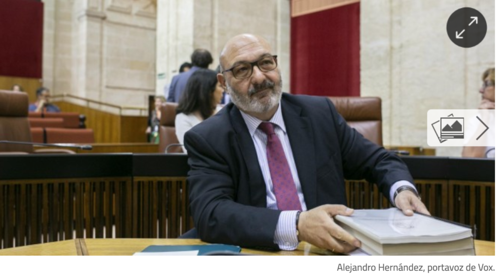 PP y Cs se entregan en Andalucía al discurso antifeminista de Vox: asumen hablar de «violencia intrafamiliar»